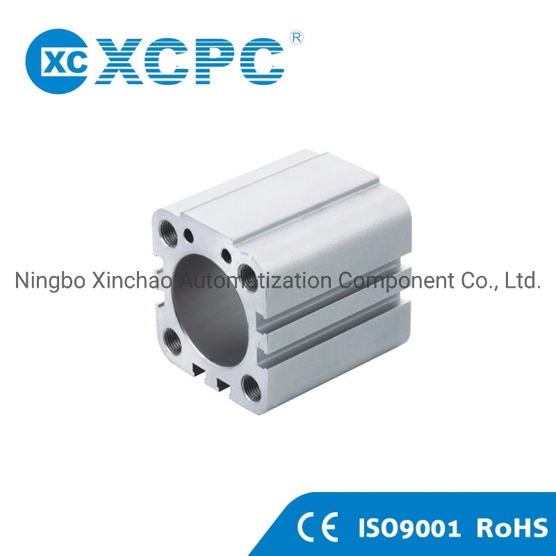 Xcpc Professional Pneumatic Factory Stainless Steel Piston Rod for Air Cylinder