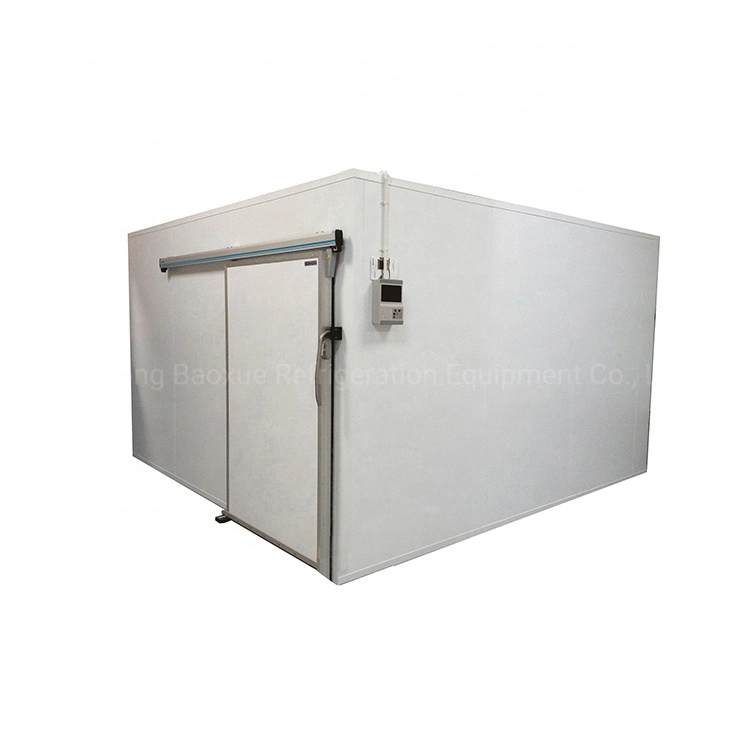 Fish Cold Room Storage/Refrigerator Freezer/Walk in Cold Room