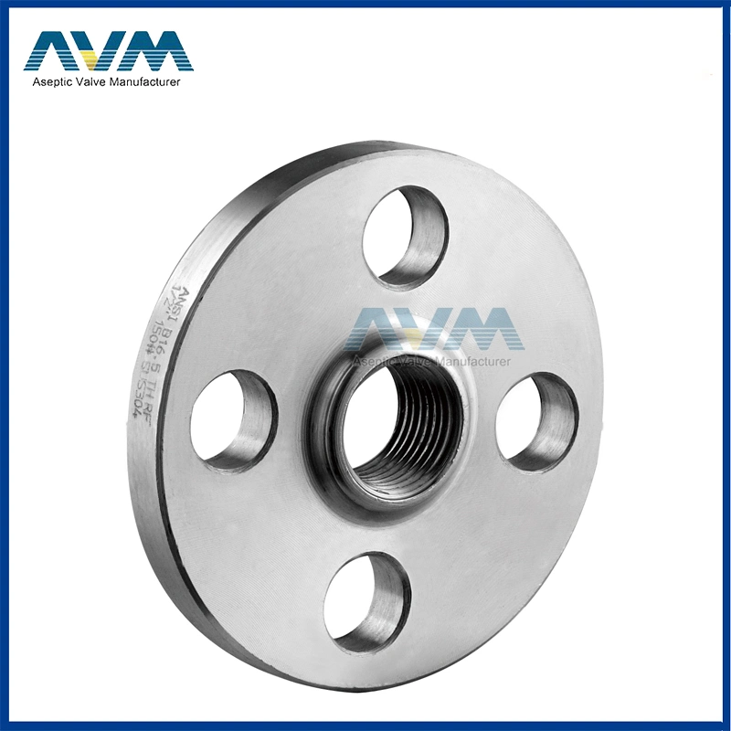 Stainless Steel Welding Neck Threaded Forged Flanges Flanges