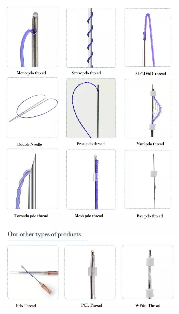 Manufacturer Pdo Thread Mono Screw Eye Thread 30g Needle for Eyebrows