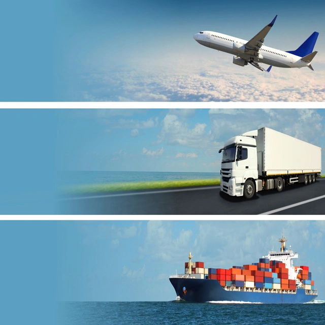 DDP Sea Shipping/Air Cargo Freight Forwarder vers Lituanie/Estonie/Lettonie/Portugal/Bulgarie/Danemark Expédié par Amazon Tarifs UPS/FedEx Express pour la logistique des agents d'exportation