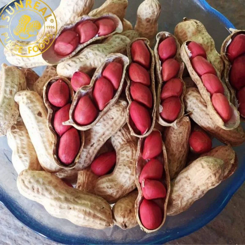 2021 Roasted Peanut in Shell/ Red Skin/Sunreal/Vacuum Inner Bags