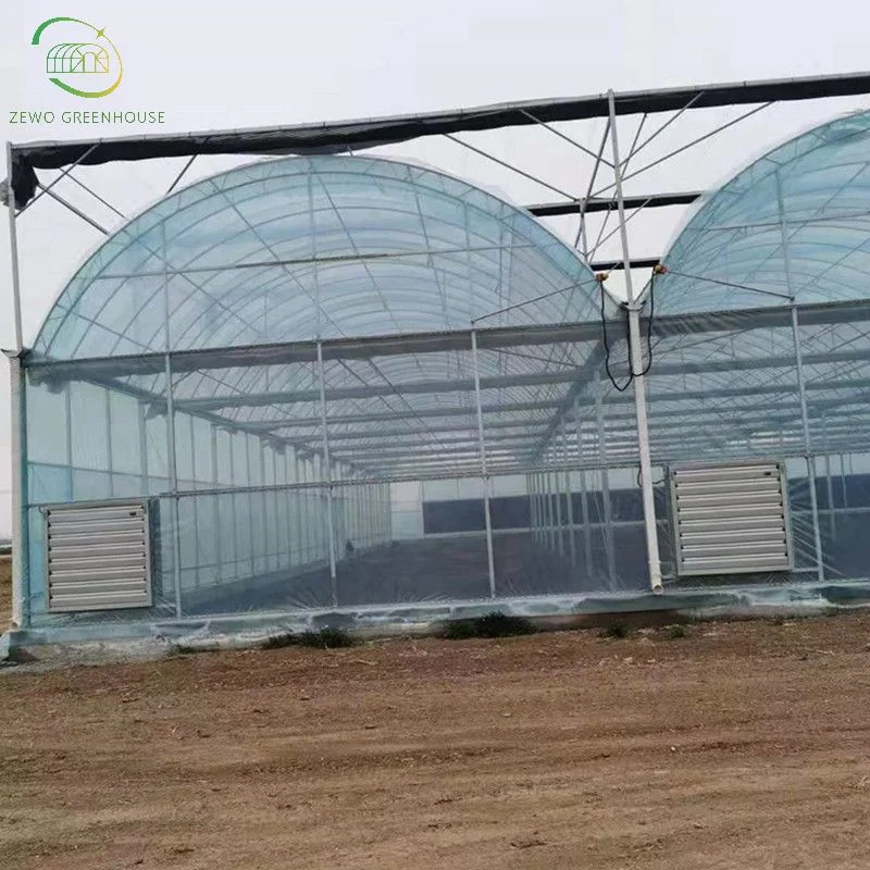 Hot Sale Agricultural Multi Span Greenhouse Covered Plastic Film with Irrigation System for Planting