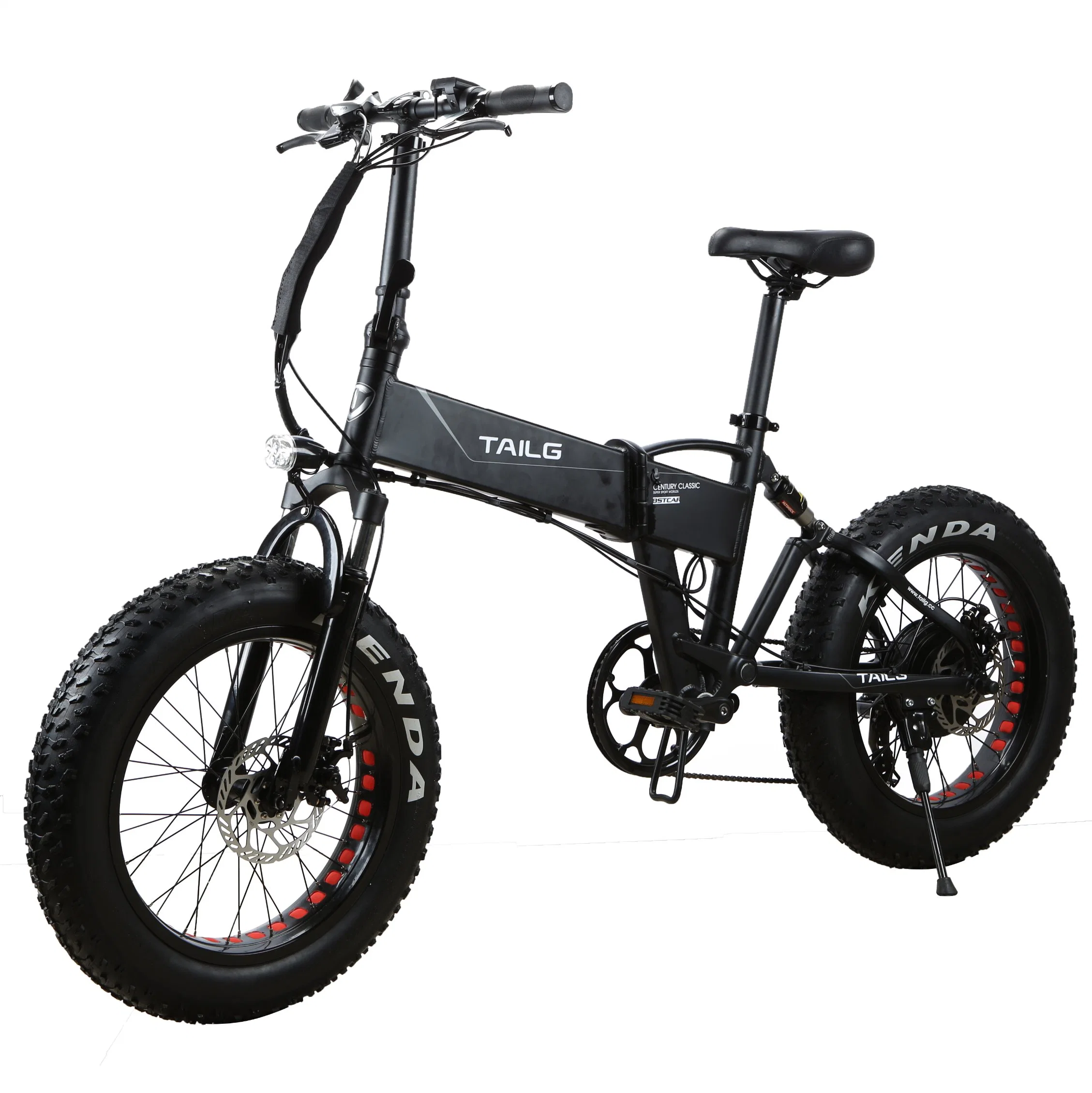 20" Folding Fat Tyre Electric Bicycle with Lithium Battery