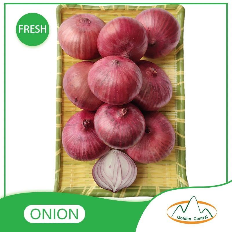 New Fresh China Yellow Onion