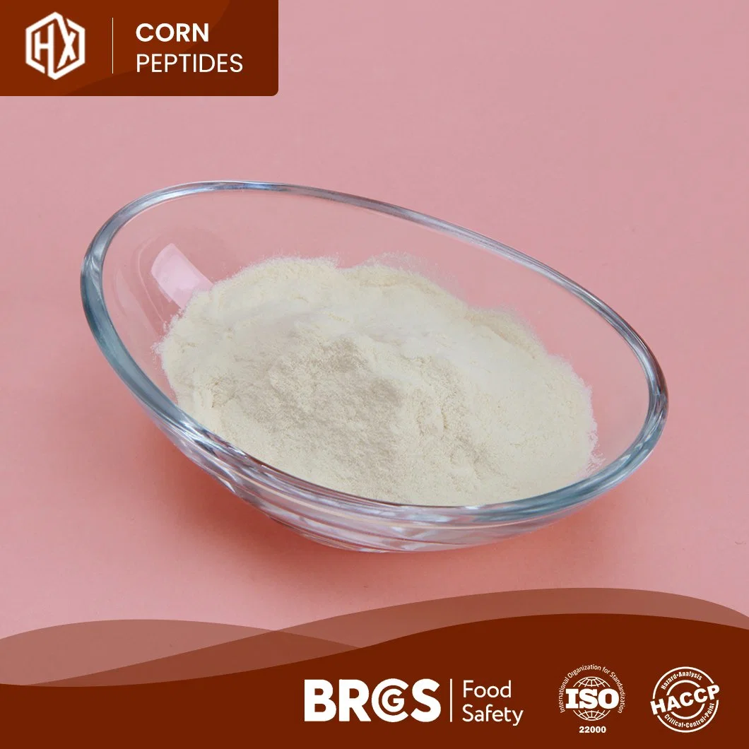 Haoxiang China Manufacturer Supply Organic Corn Protein Peptide Meal 46% 48% 50% Cornbean Protein Fiber Isolate Concentrate Powder Bulk High Purity Corn Peptide