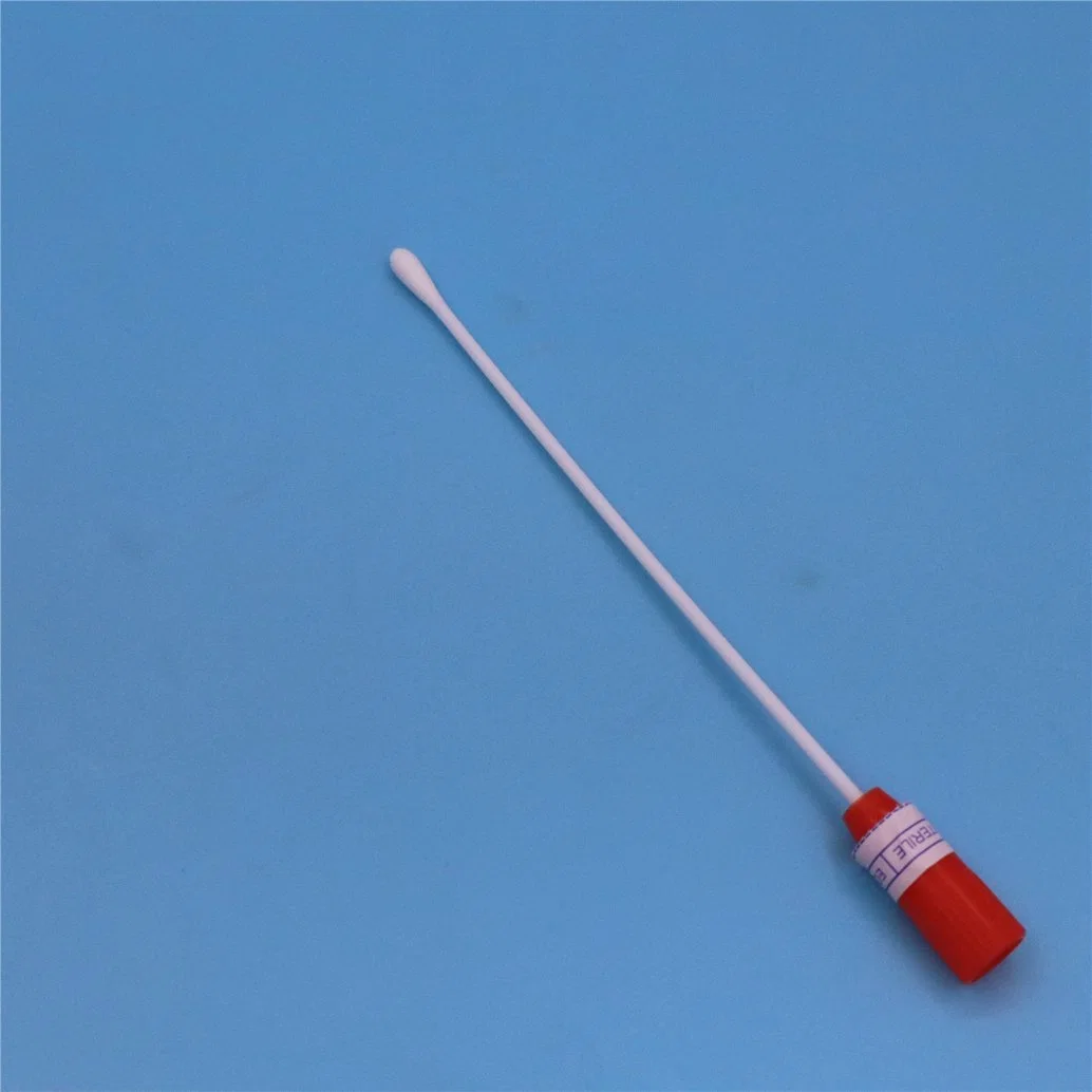 Medical Sterile Disposable Transport Medium Swab Cotton Swab Stick Wooden