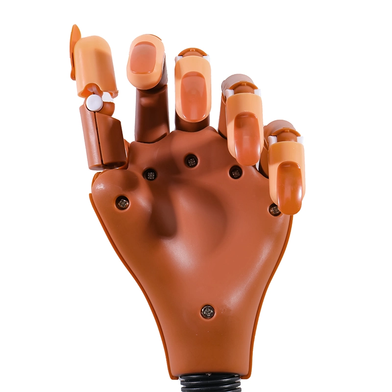Flexible Lange Praxis Hand Professional Maniküre Training Tools Prothese Großhandel/Lieferant Biegsam Nail Art Praxis Hände