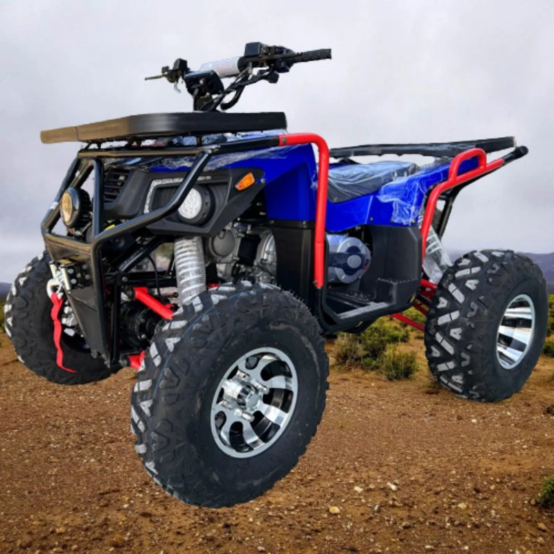 2023 New 350cc 4WD Beach Buggy Quad Bike Quad ATV