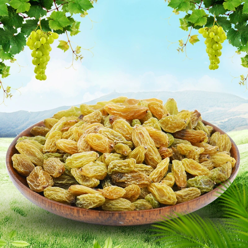 Chinese Dried Yellow Golden Black Green Raisins Prices