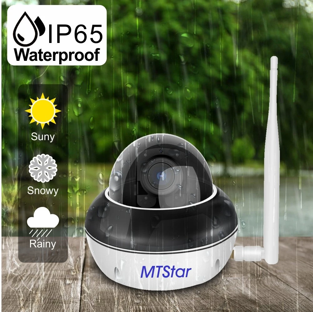 Outdoor/Home Security 355 Degree 2 PCS Array Infrared LEDs Surveillance System 2 Way Audio Full Color Night Vision IP65 Waterproof 30m Distance P2p Camera