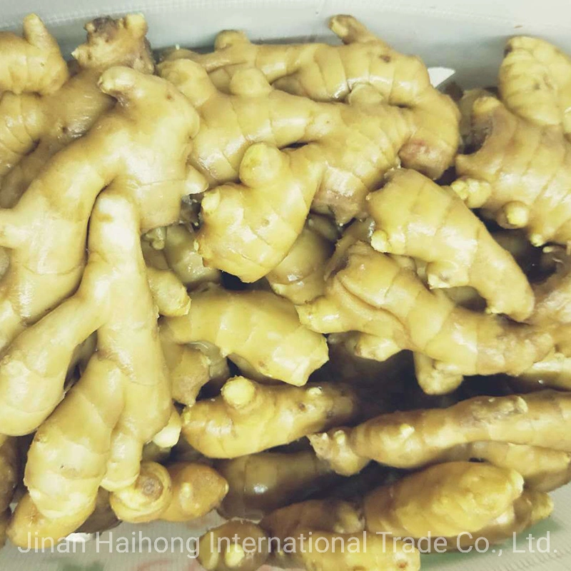 Chinese Fresh Air-Dry Ginger (200G+, 250G+)