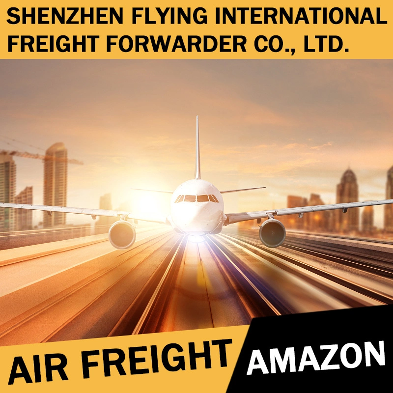 Servicio de carga de aire profesional Freight Forwarder, China a EE.UU Amazon Fba Almacén