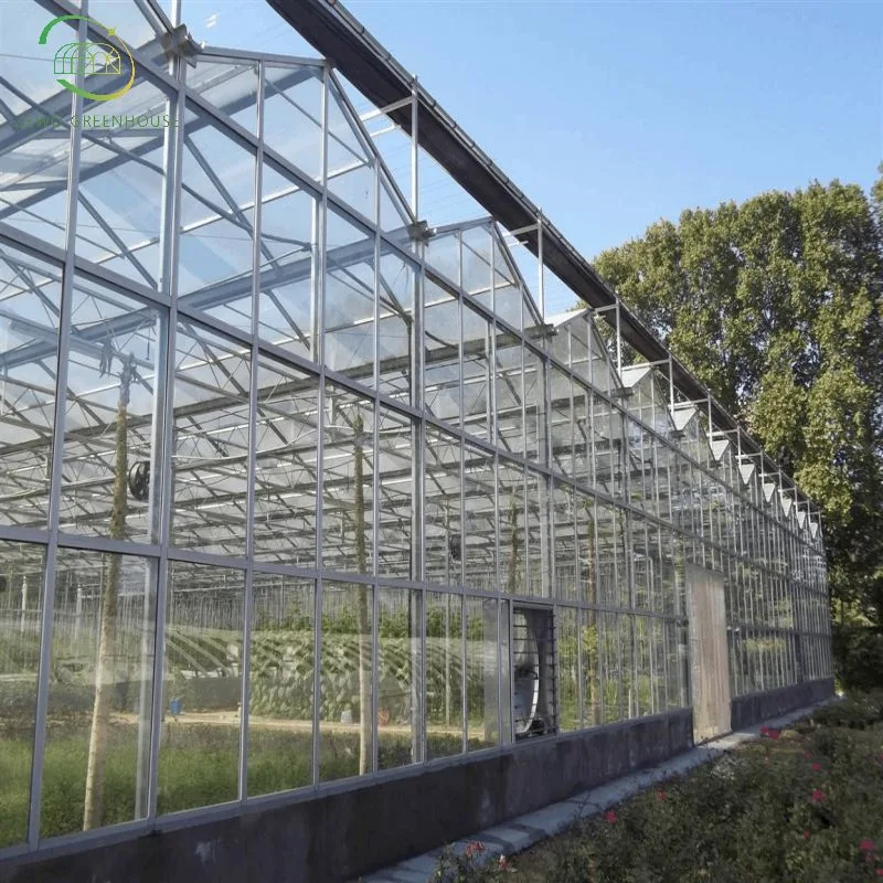 Jardim Agrícola moderno estufa de vidro multi-span com Cooling Pad / sistema hidropônico Para legumes/morango