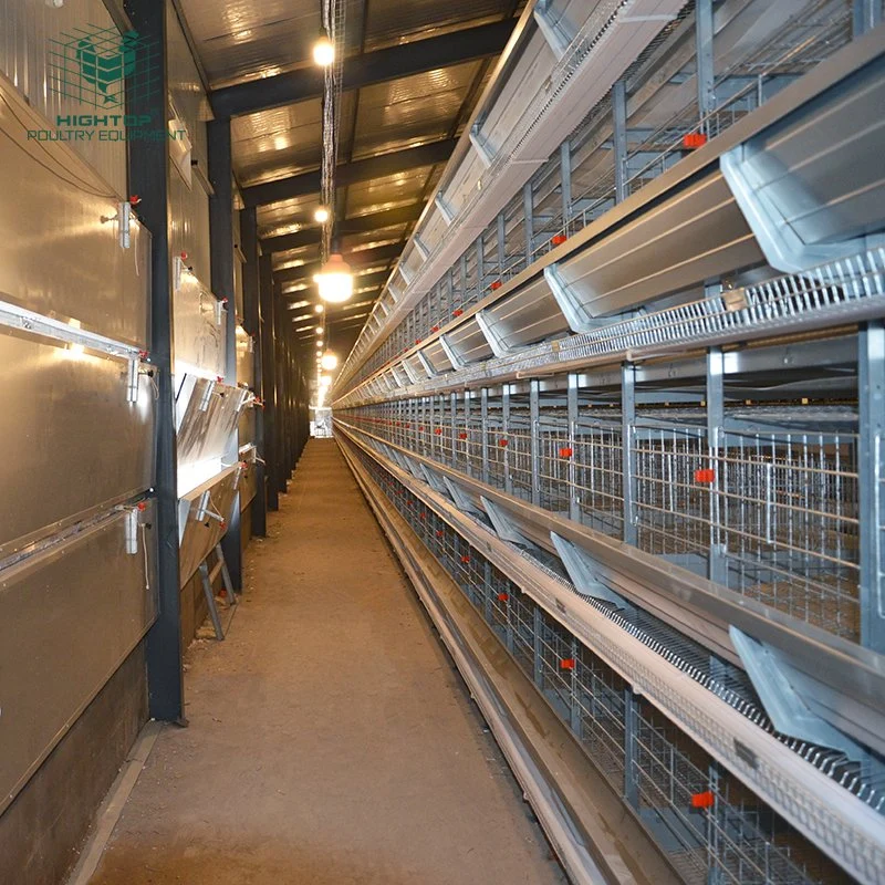 Commercial Poultry Raising Farm Automatic H Type Egg Chicken Laying Hen Cage For Sale