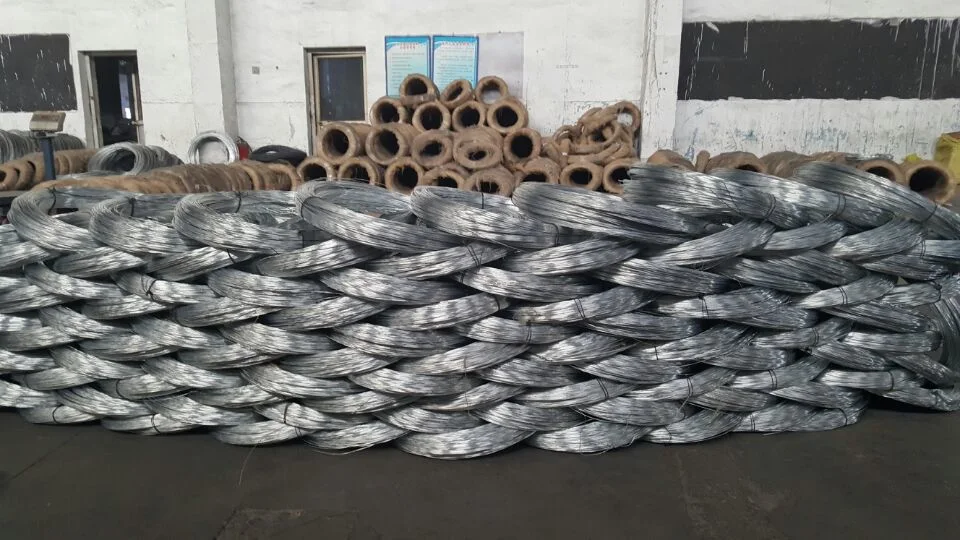 Galvanized Binding Wire (BWG22) with Lowest Prices and Top Quality