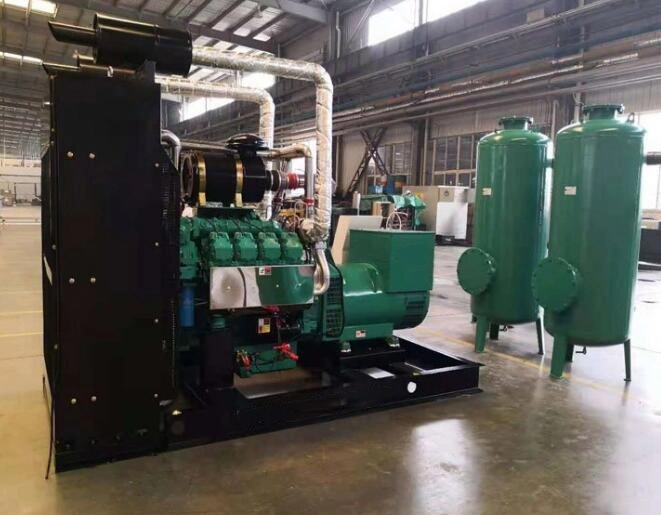 300kw Gas Generator Natural Gas/Biogas/Liquefied Petroleum Gas All Copper Brushless