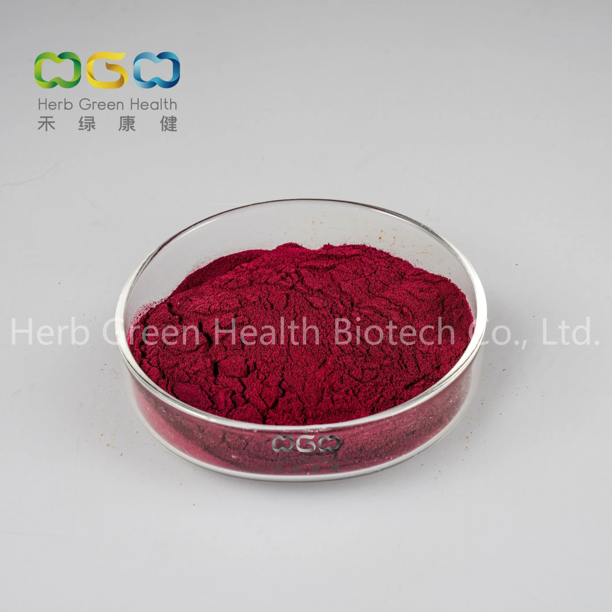 Natural Healthcare Boost Immune System Anti-Cancer Aronia SD Powder