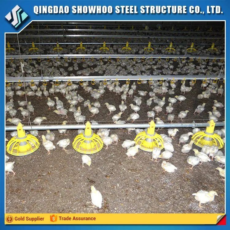 Durable and Cheap Chicken Equipment Poultry Farm with Factory Design