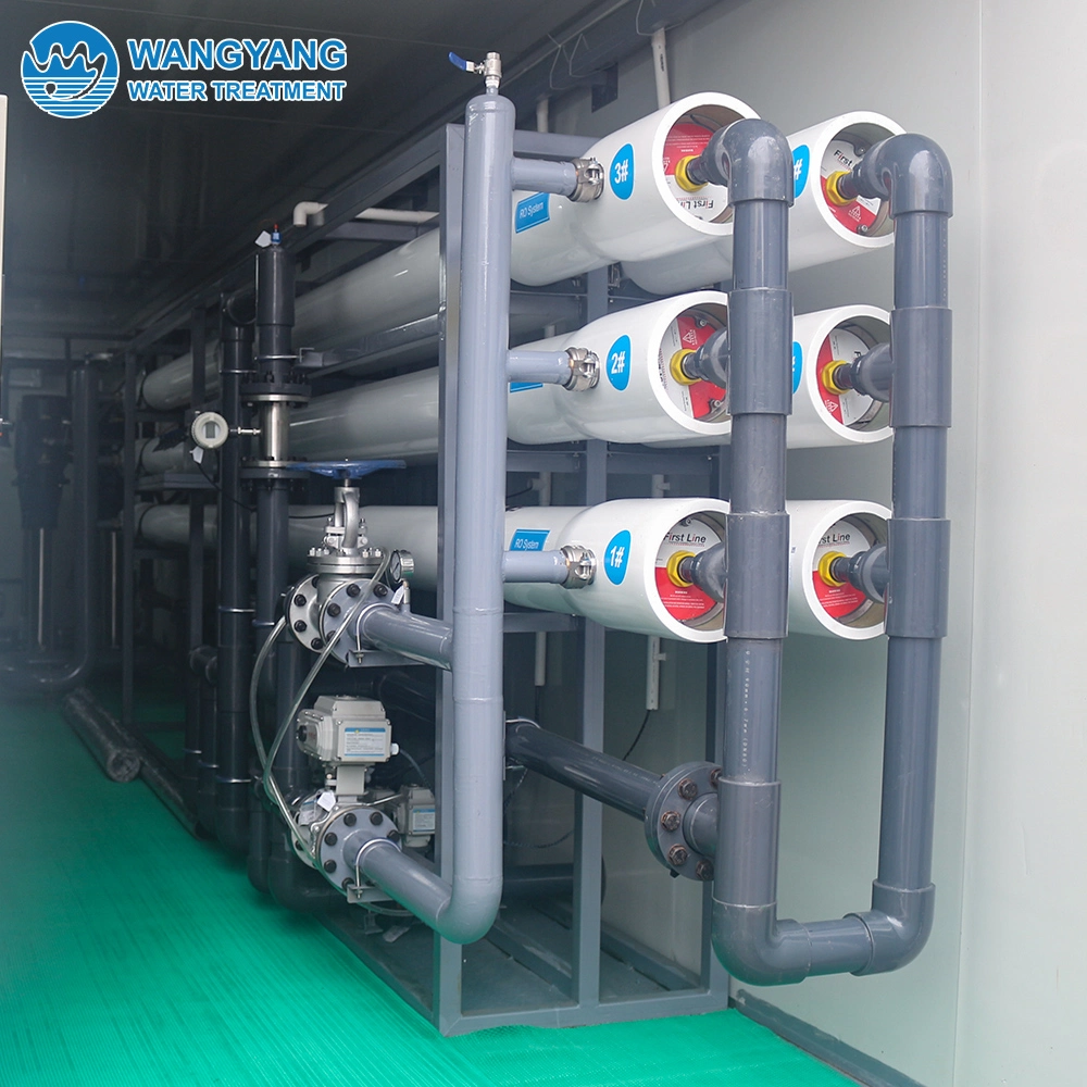 Industrial Water Treatment Equipment 25t/H RO System Filter