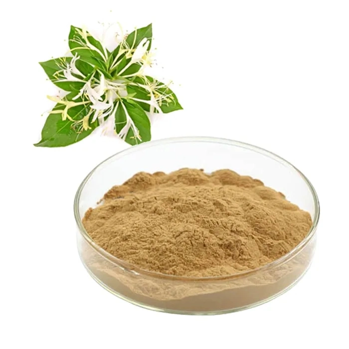 Enhance Immunity Honey Suckle Lonicera Japonica Powder Wild Dried Honeysuckle Flowers Extract.