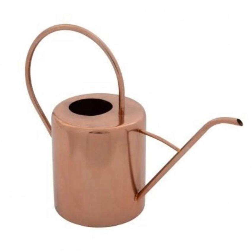 Classic Gold Watering Can for Plants