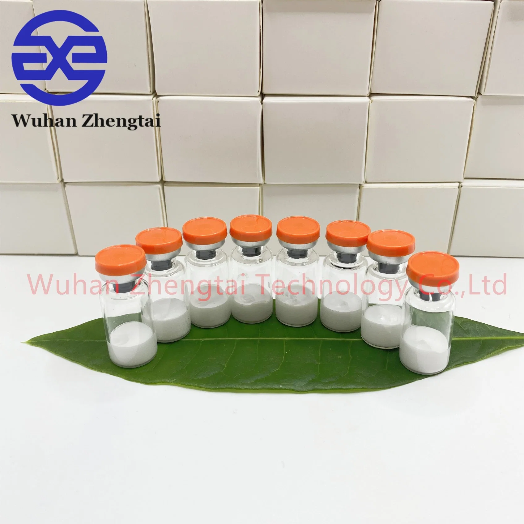 High-Quality Semaglutide Powder - 99% Pure, Melanotan II Tirzpatide Semaglutide Retatrutide