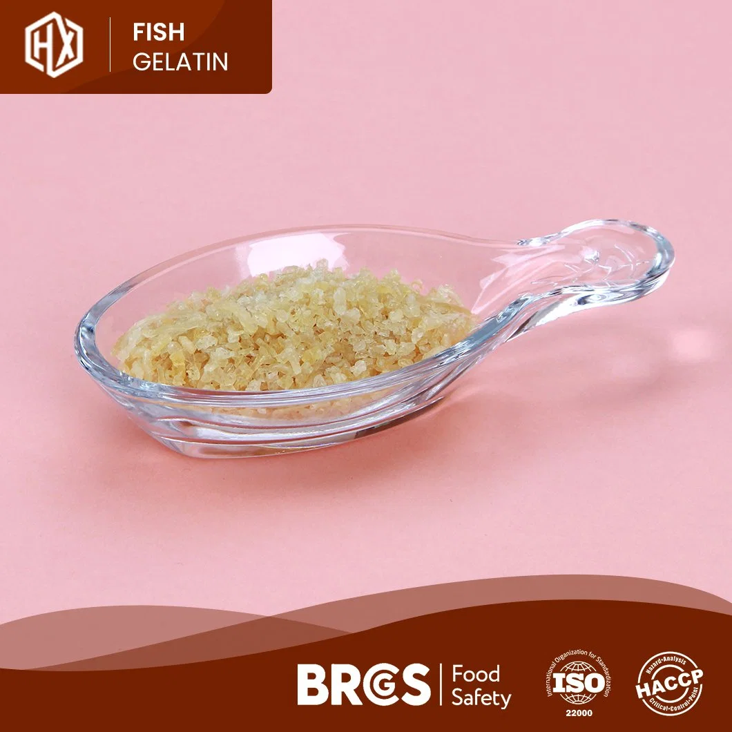 Haoxiang OEM Cod personnalisé Fish Skin gélatine Chine Halal Cod Peau de poisson Fabrication de gélatine qualité alimentaire morue en poudre 105 % poisson Gélatine cutanée