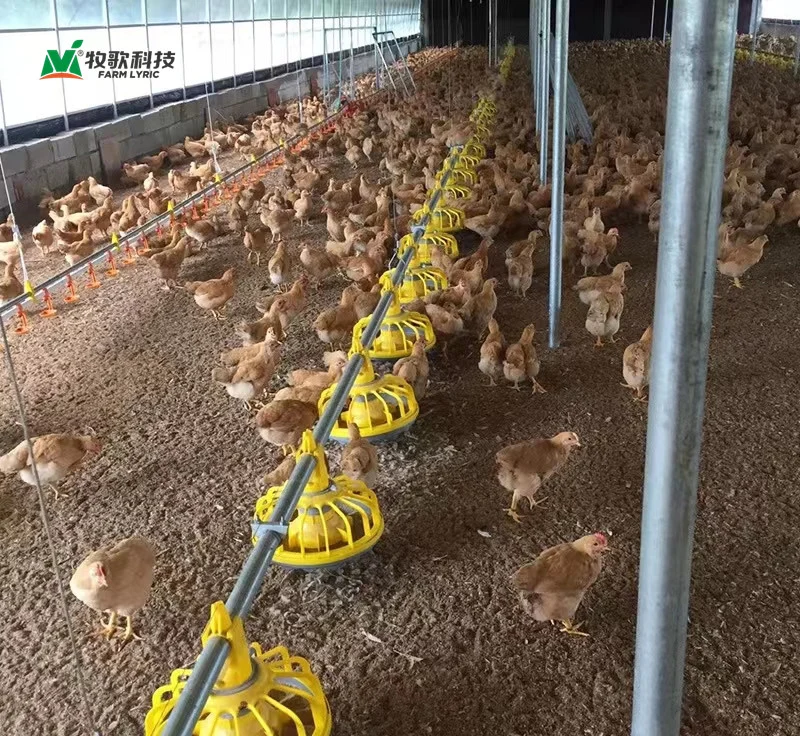 Hot Selling Poultry Farming Broiler Feeder Breeding Chicken Feed Pan