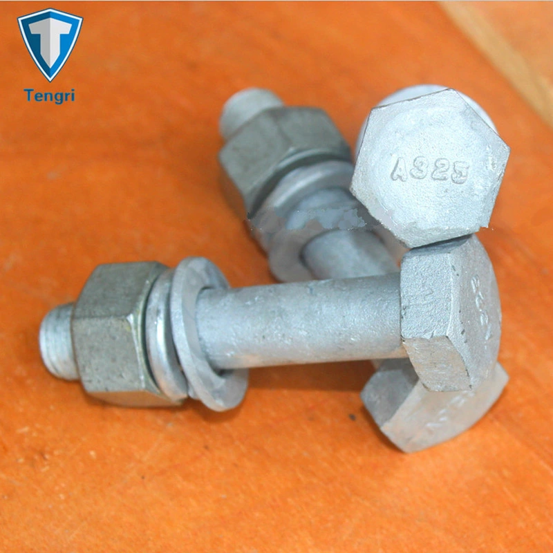 Heavy Hex Bolt ASTM A325m A193 A563 Structural Bolts U Bolt Carriage Bolt Flange Bolt Coach Bolt T Bolt Anchor Bolt Guardrail Bolt Track Bolt for Buildings