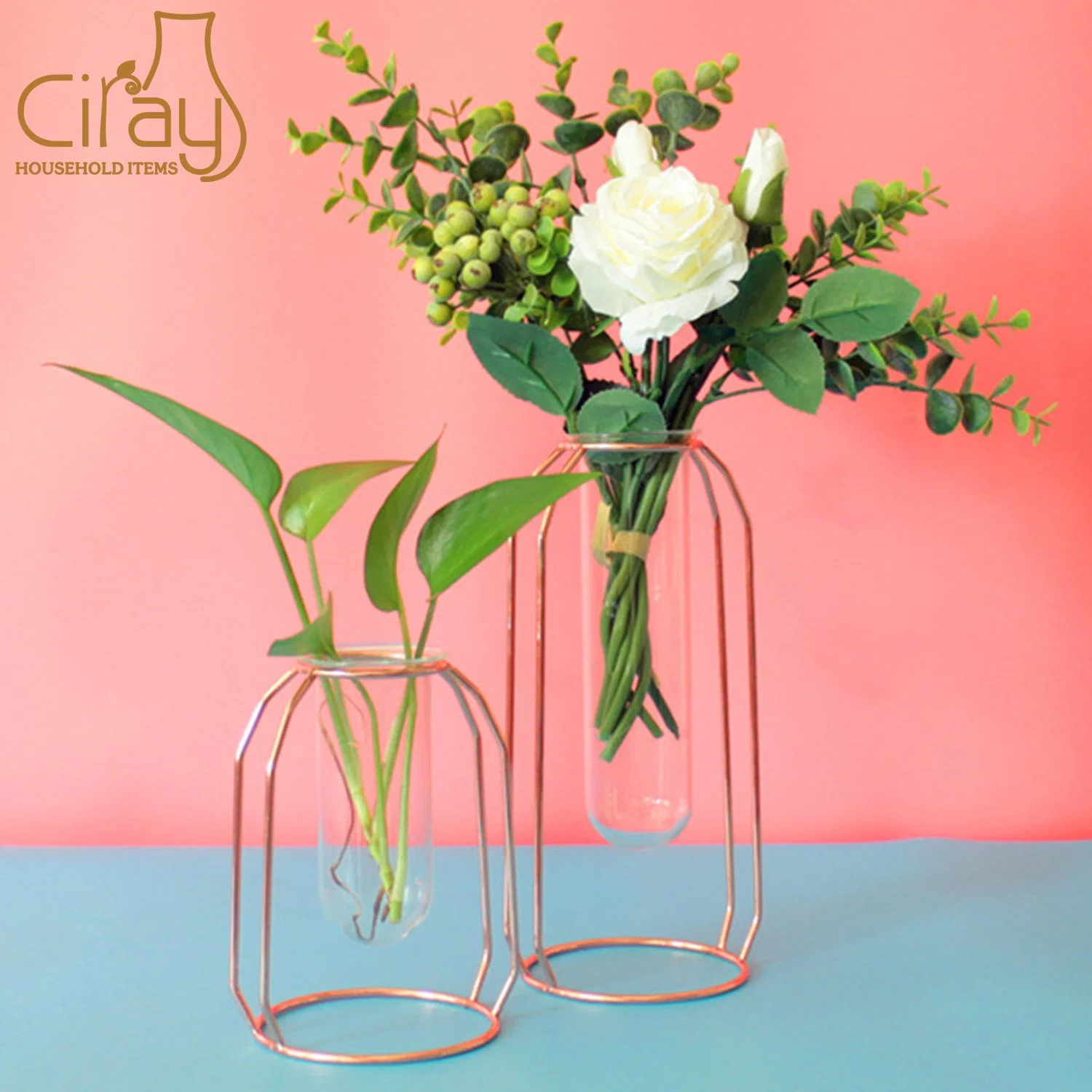 Creative Glass Tube Flower Vase with Golden Metal Stand