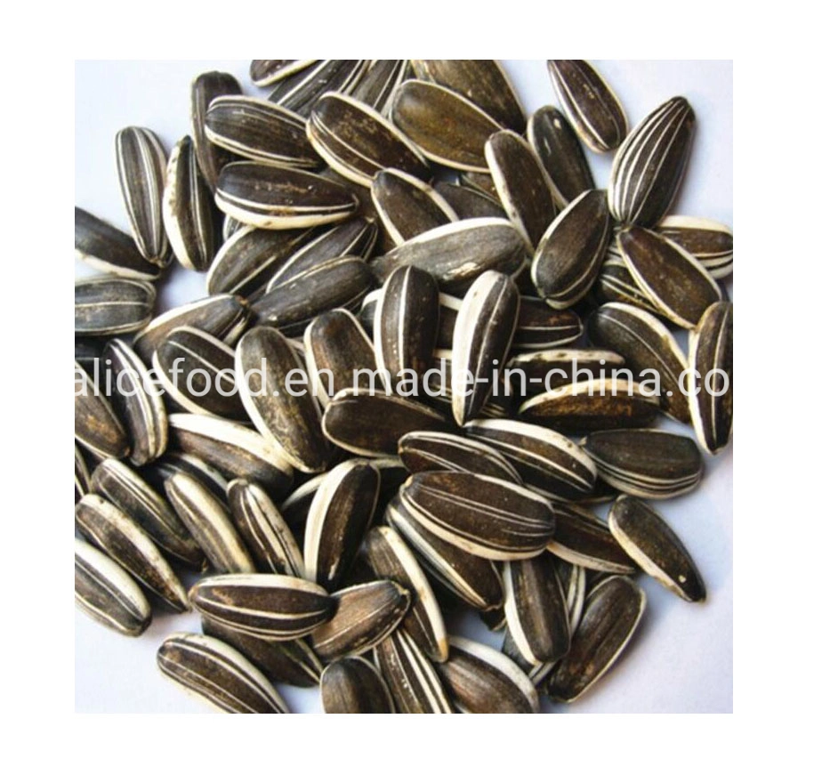 Hot Sale for Exporting Various Types of Sunflower Seeds