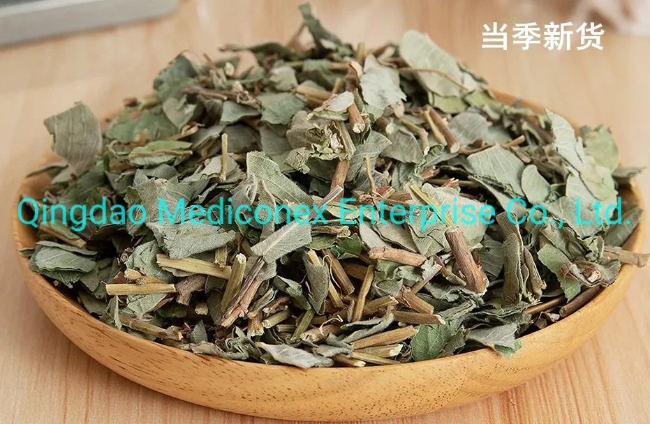 Lysimachia Christinae Herb Raw Materials Prepared Traditional Chinese Herbal Medicine Clearing Damp Prometing Diuresis