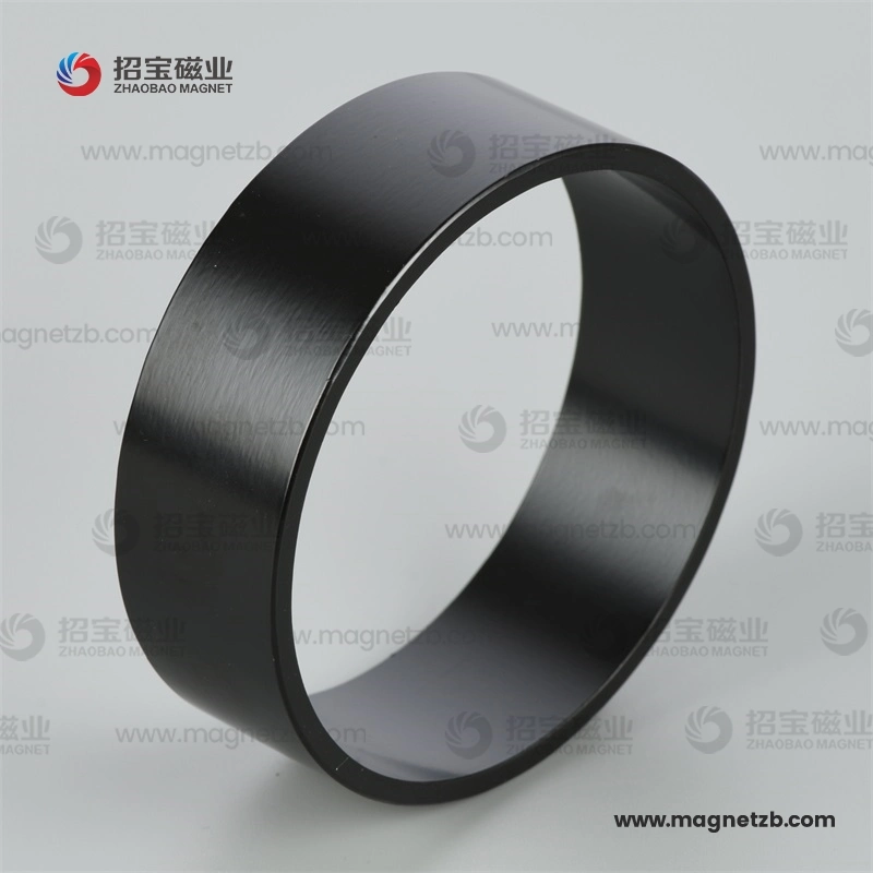 Radial Orientation High quality/High cost performance  Rare Earth Permanent Strong Magnetic Material Customized Industry Sintered Neodimio Neodymium NdFeB Magnet Ring with Multipoles