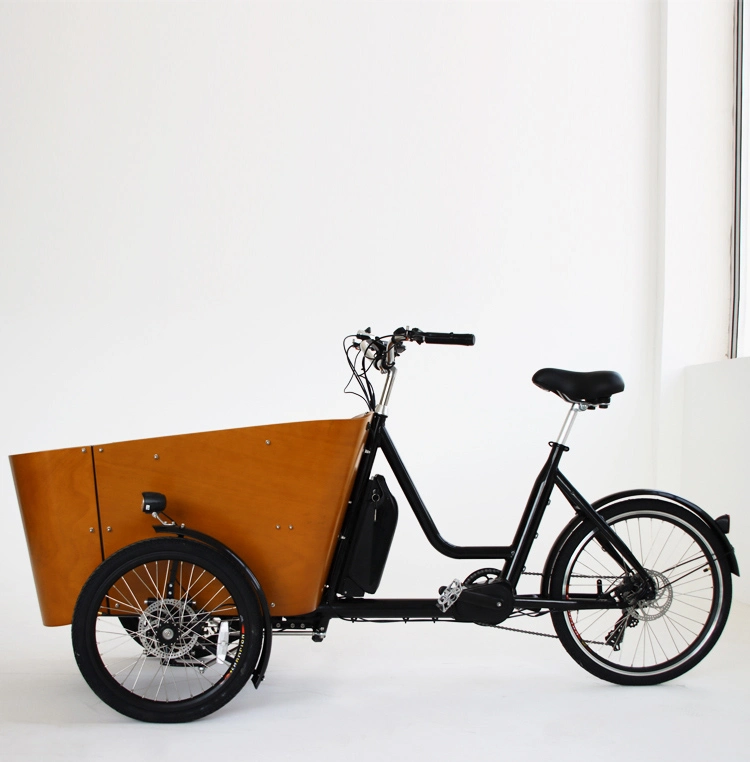 Фронтальная погрузка Swing Balance Детский наклоняющийся Трик Электрический грузовой велосипед Семейный велосипед