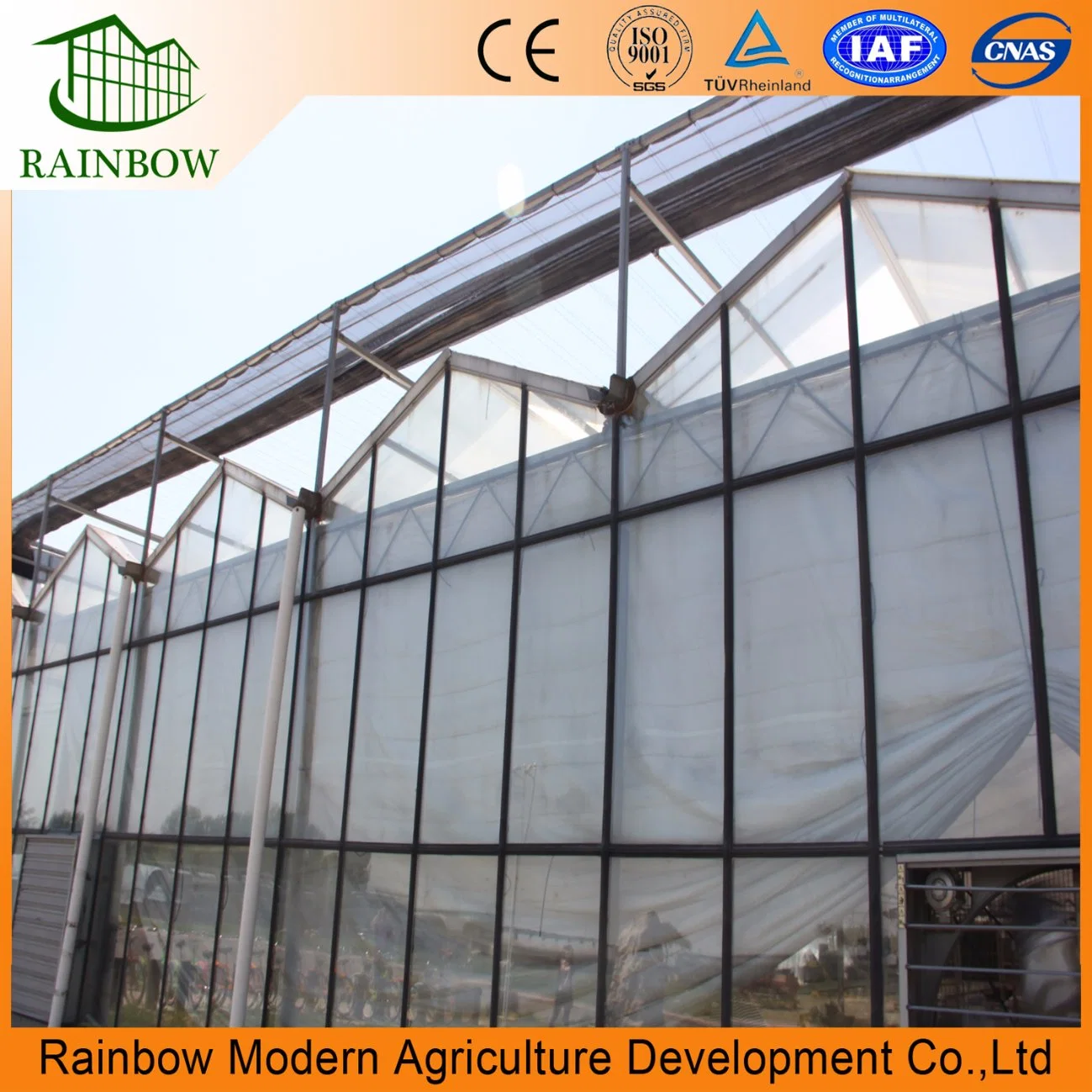 Good Quality Multi-Span Agricultural Glass Greenhouse