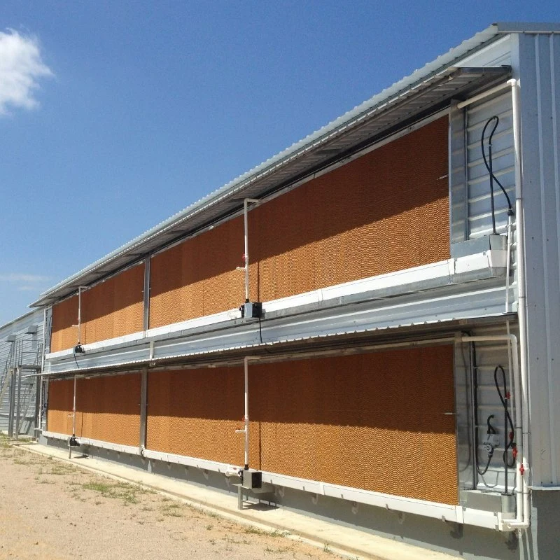 Steel Structure Poultry Farm House