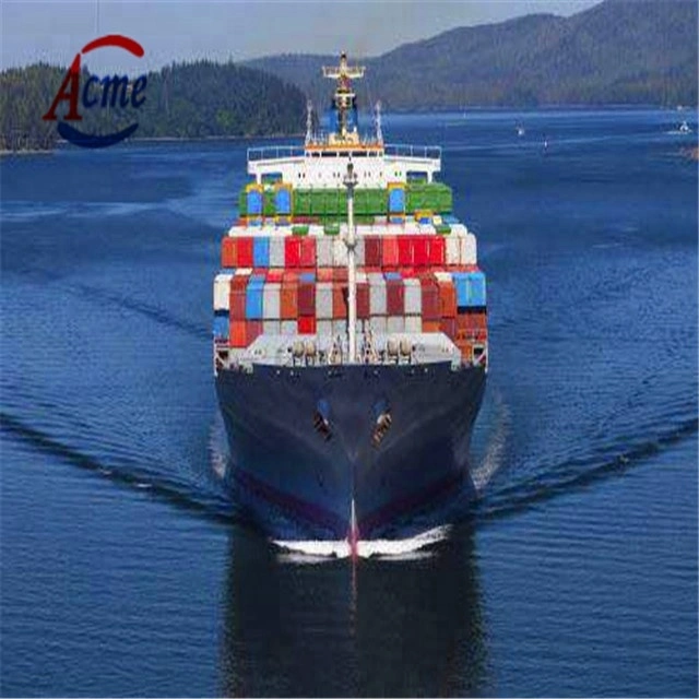 Customs Clearance Agent for The Exporting and Importing