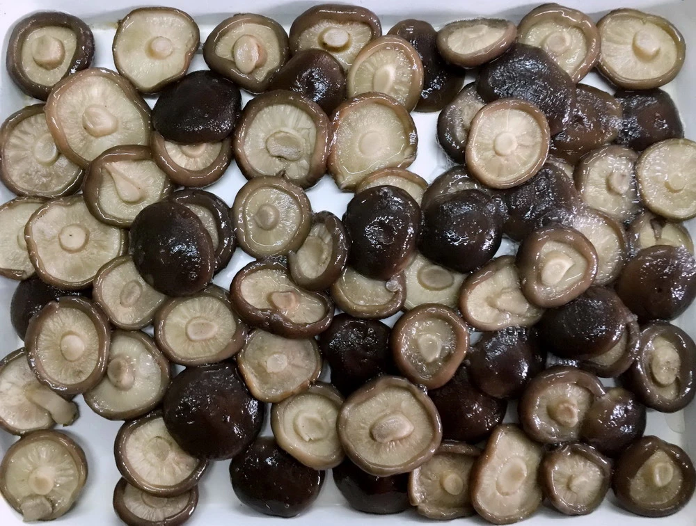 Health Food Fresh Shiitake Mushroom Whole From Factory Price