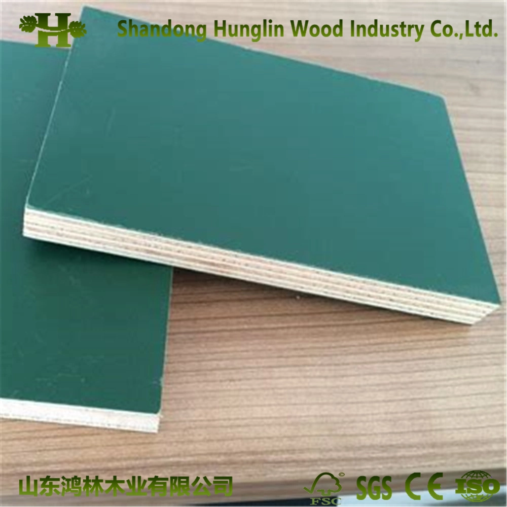 Green/ Blue Colour PP Plastic Film Faced Plywood Board/Building Material