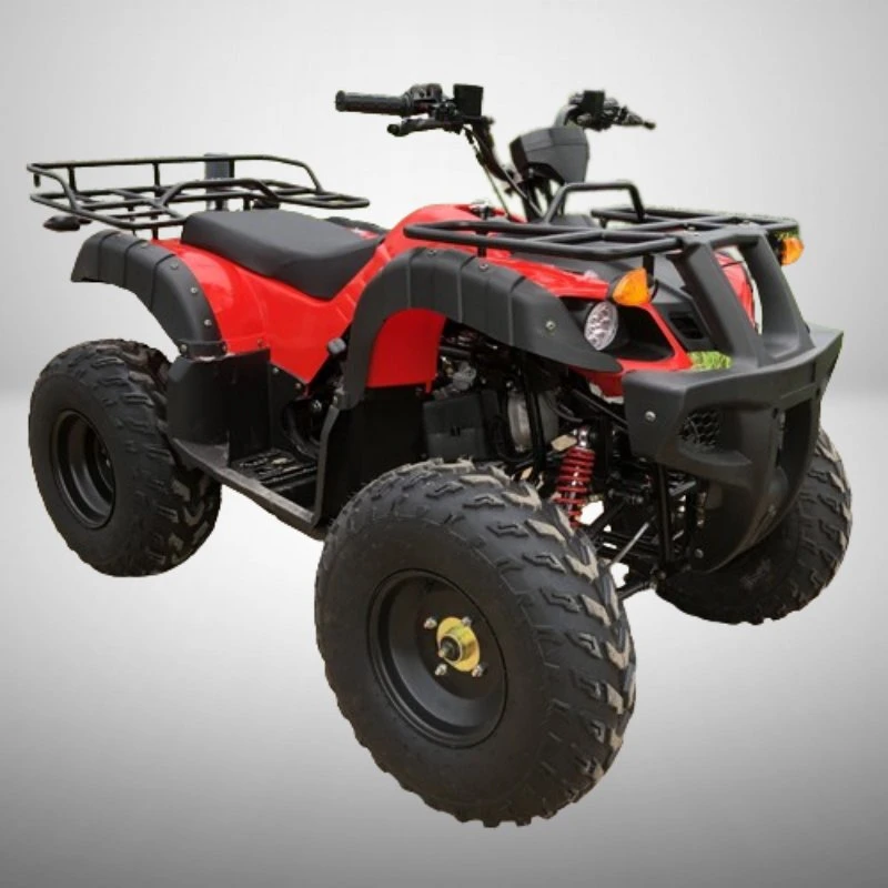 Quad Bike ATV für Jugendliche und Erwachsene mit 200cc Motoren