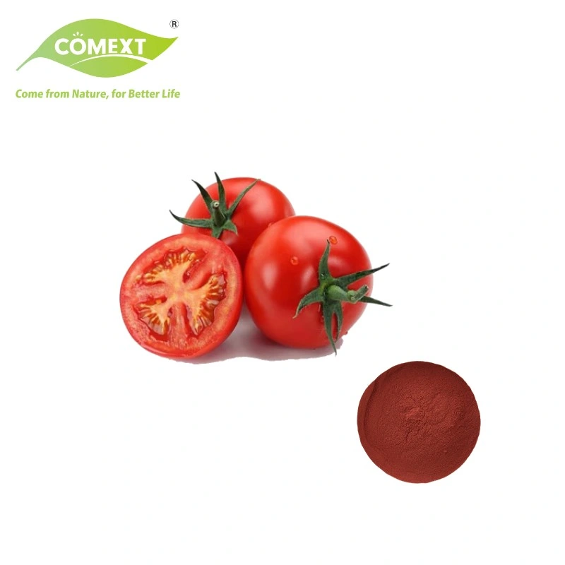 Comext Wholesale/Suppliers Bulk High quality/High cost performance  Dry Vegetable Tomato Powder