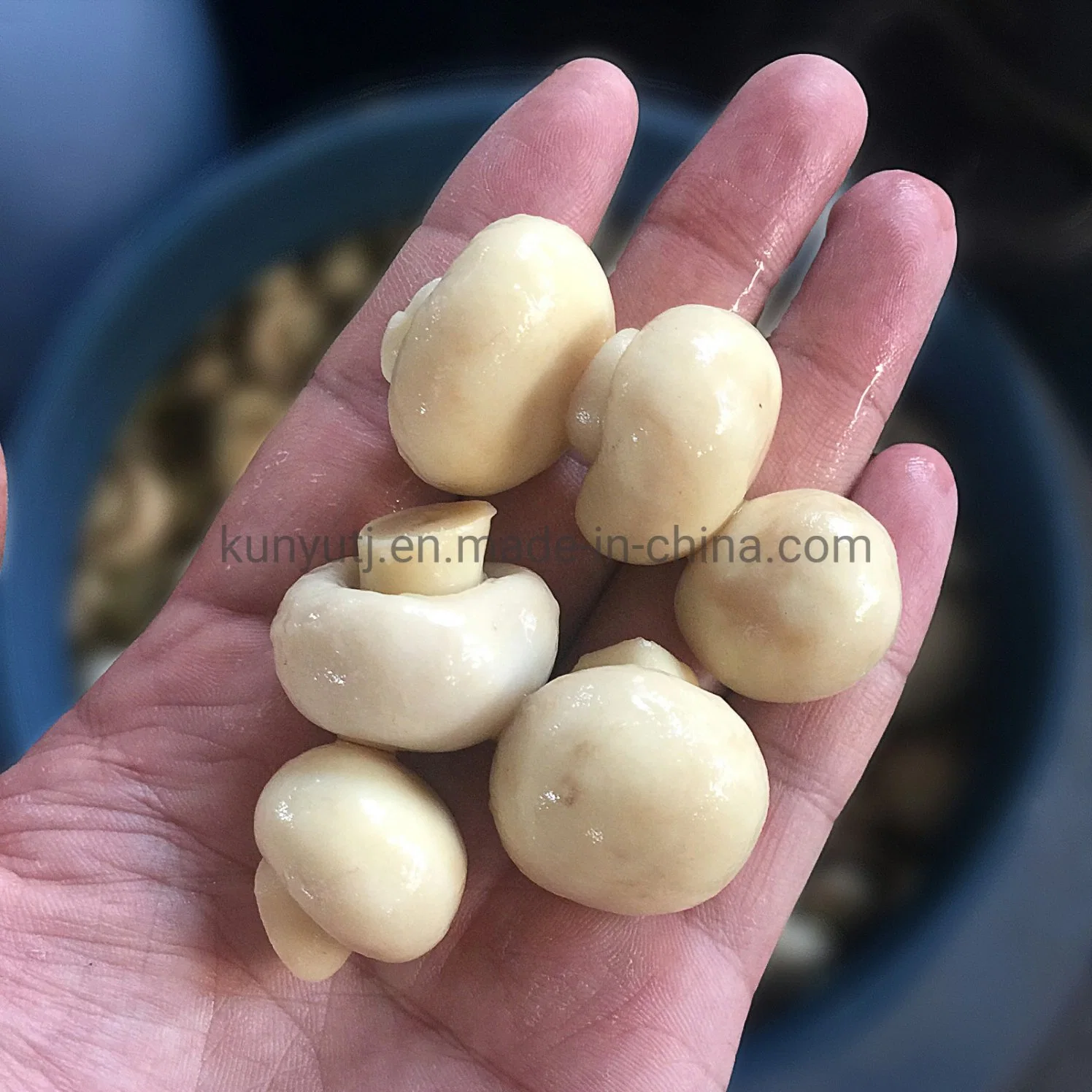 400g Canned Food Fresh Champignon Mushroom Whole Mushroom Slice