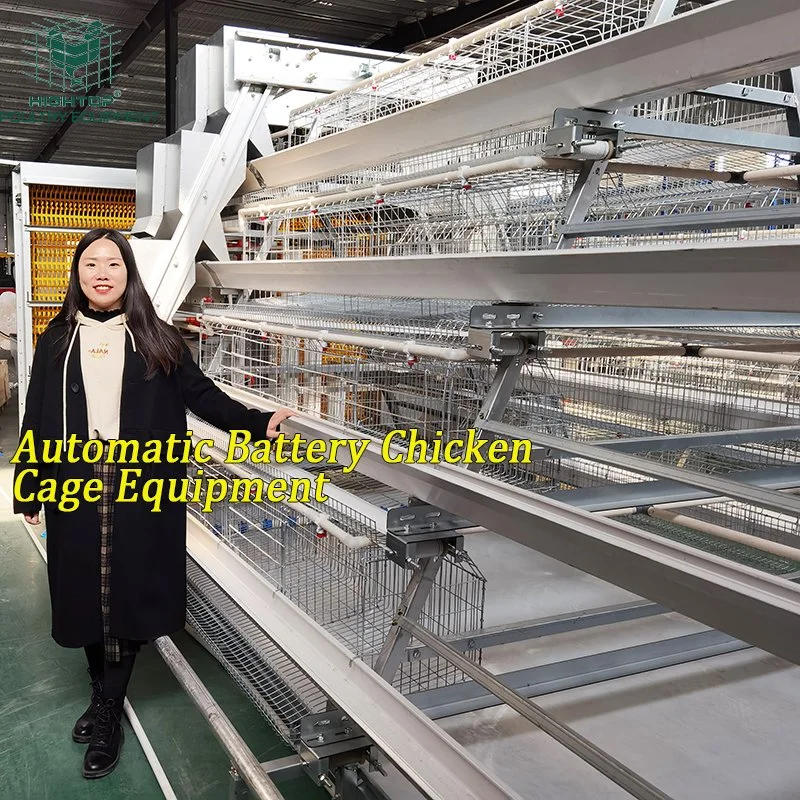 Hightop Poultry Farm Electric Galvanized A Type Automatic Chicken Layer Cage