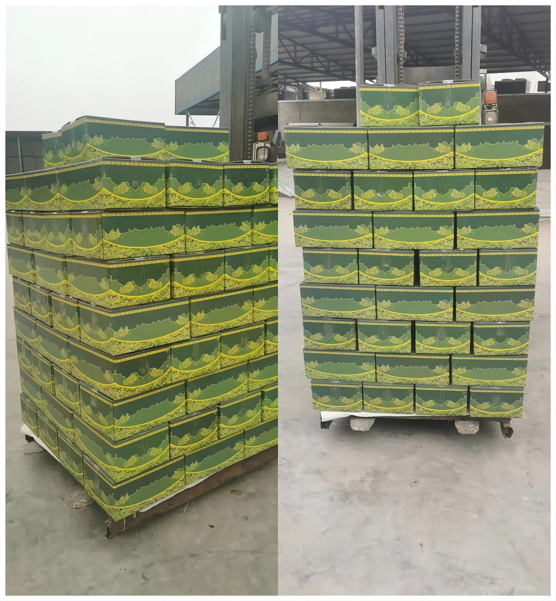 China Supply 90%-95% Green Raisins Dried Grapes Factory Wholesale/Supplier