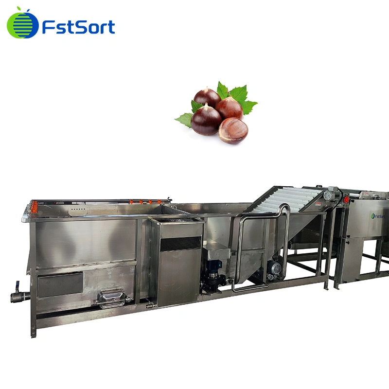 Chestnut High Pressure Cleaning Chestnut Polishing Machine Chestnut Picking Table Chestnut Washing Equipment