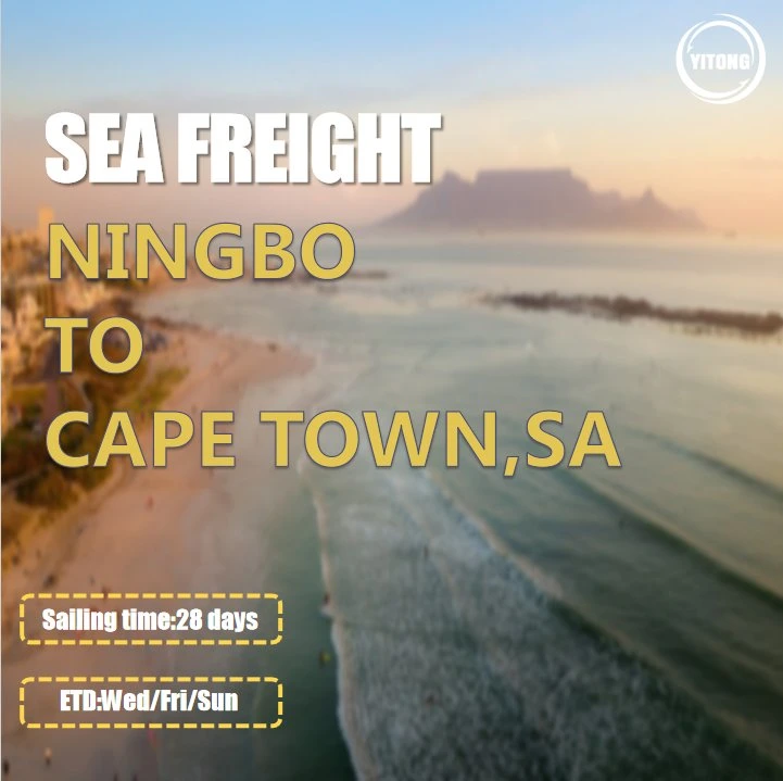 Ningbo Sea Air Shipping Agent para Cape Town África do Sul