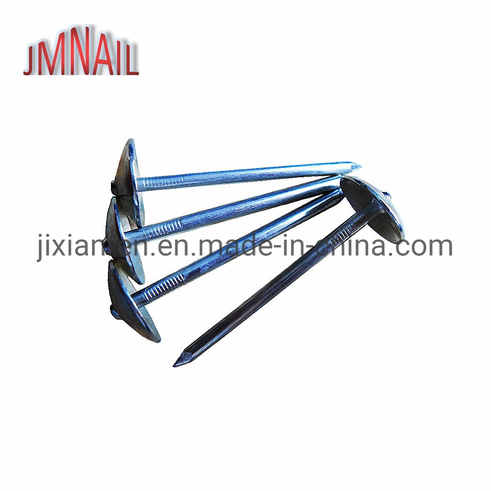 Roofing Nail, Umbrella Head Roofing Nail, Roofing Nail with Umbrealla Head