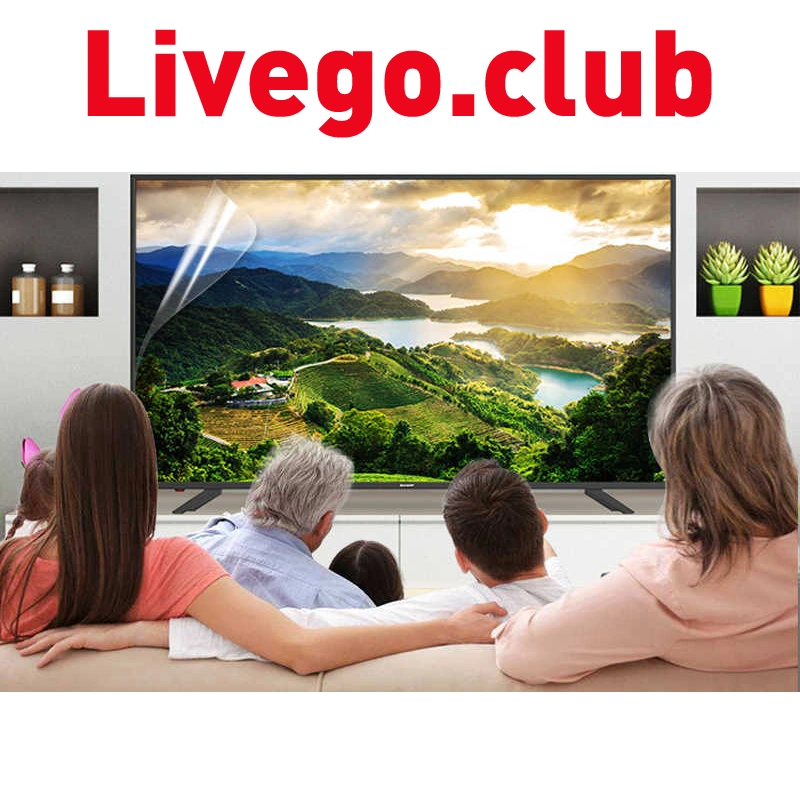 Vollständiger Brasilien IPTV Abonnement Livego Free Account Live VOD Support Set Top Box Beliebteste Portugal Bolivien Chile Norwegen Schweden Finnland TV-Programm