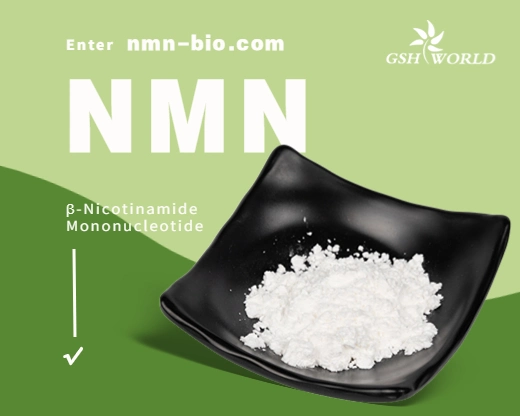 Bêta Nicotinamide mononucléotide Suppléments poudre 99% OEM Nmn alimentation en usine Anti-âge